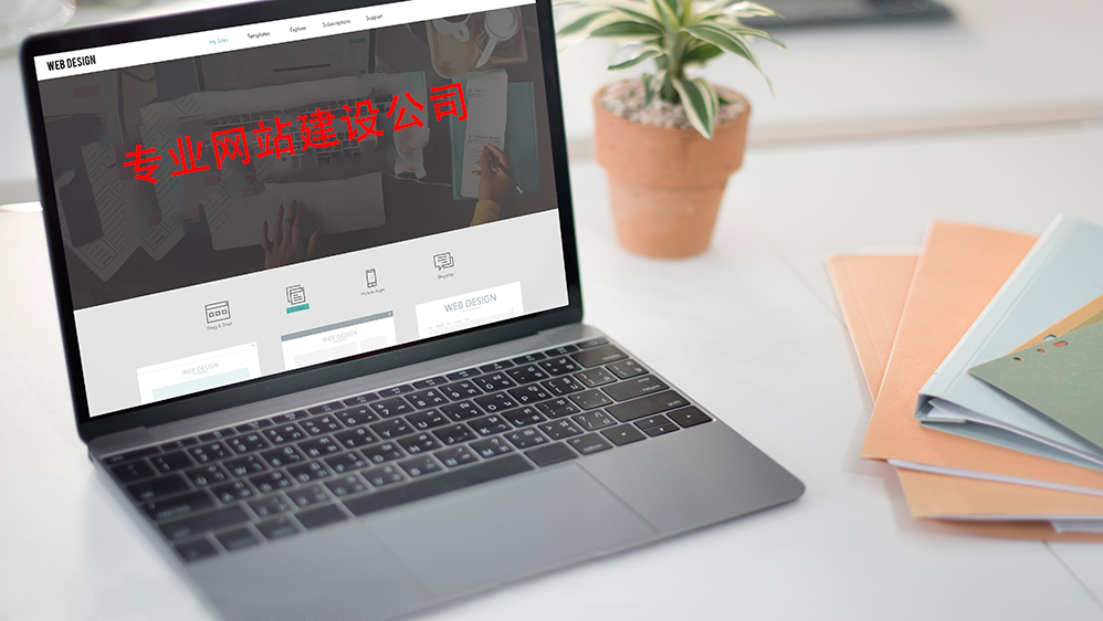 专业网站建设公司